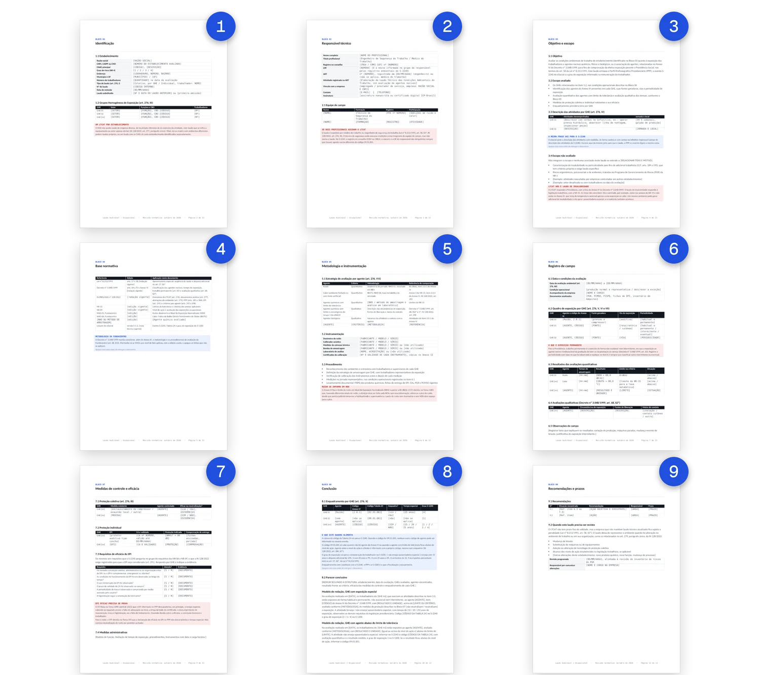 Páginas do LTCAT modelo geral dispostas em grade, com nove marcadores numerados indicando cada um dos nove blocos do documento
